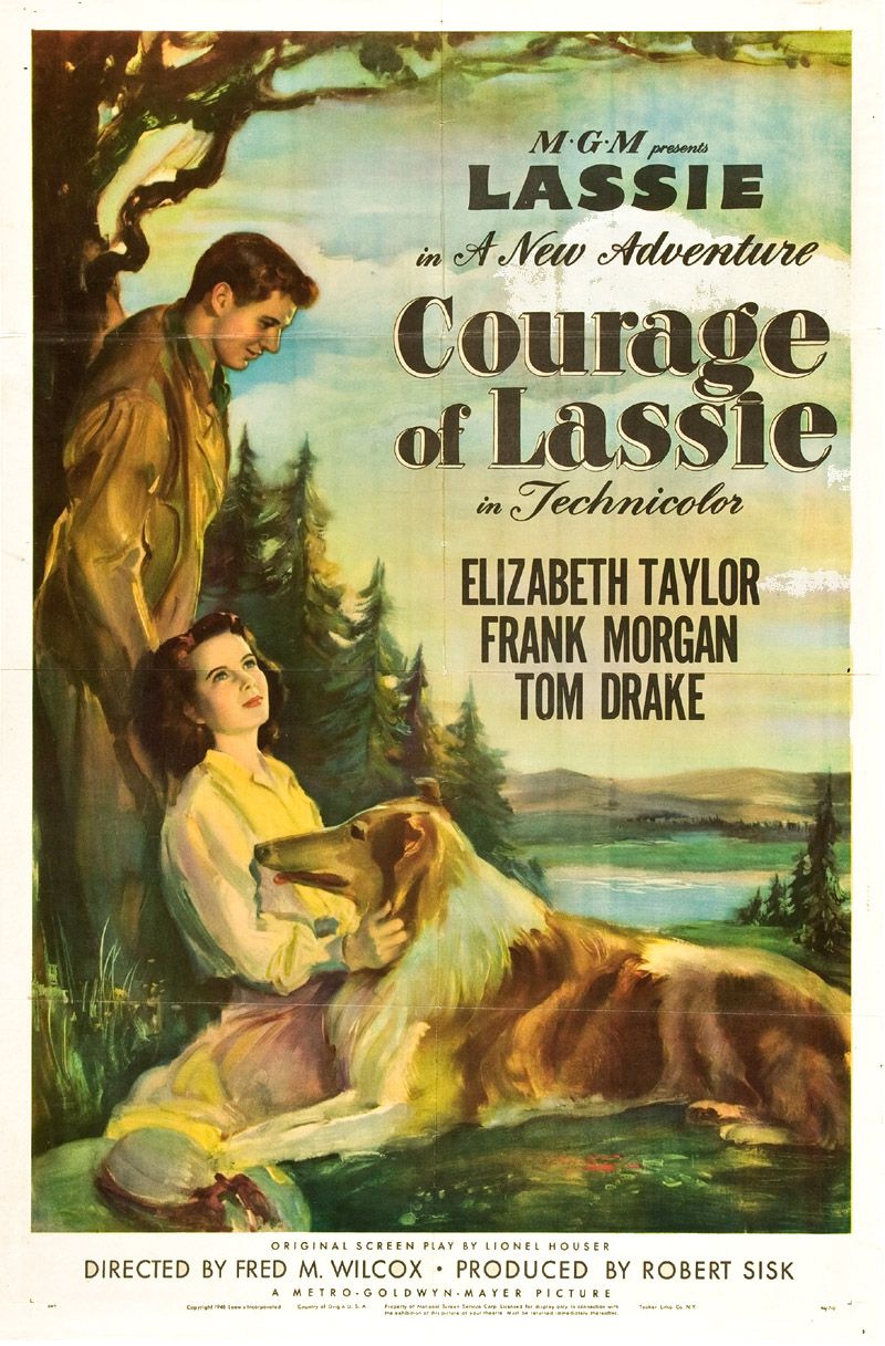 Courage of Lassie