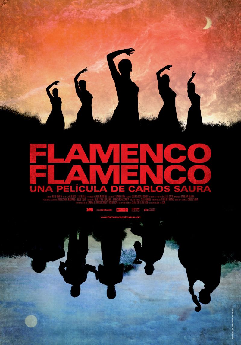 Flamenco, Flamenco