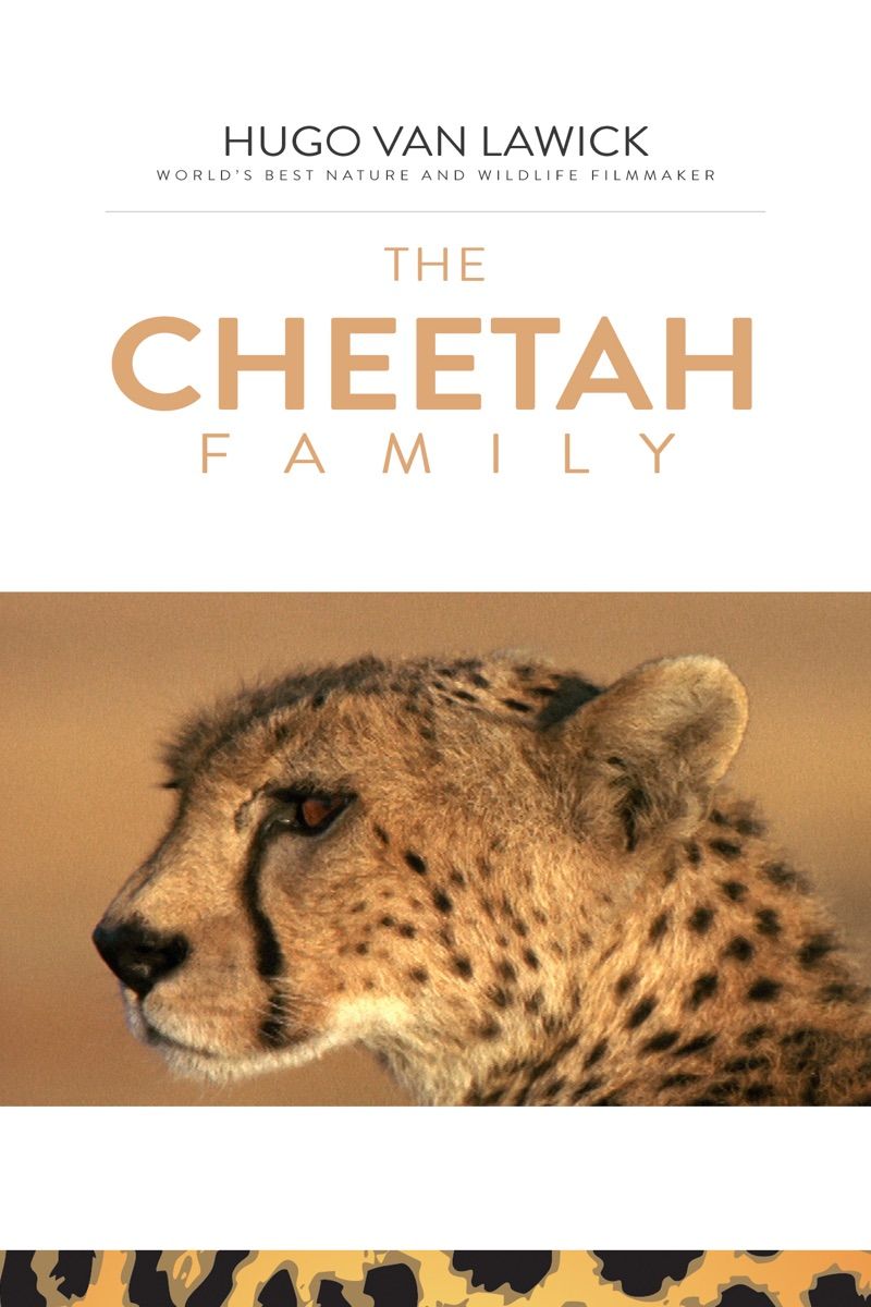 The Cheetah Family