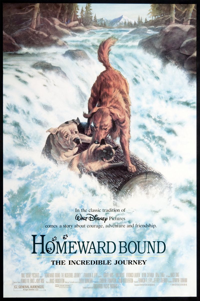 Homeward Bound: The Incredible Journey