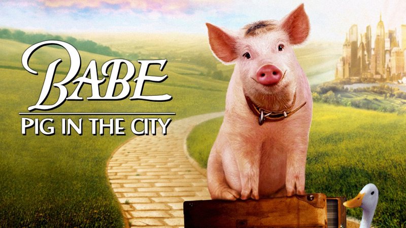 Babe Pig In The City 552Da1ca5e482
